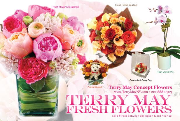 terrymay_postcard_front画像